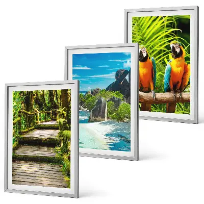 Wanddecoratieset schilderijen tropisch regenwoud met een waterval en papagaaien