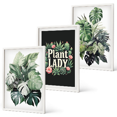 Wanddecoratie set schilderijen Rośliny tropikalne Plant Lady
