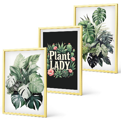 Wanddecoratie set schilderijen Rośliny tropikalne Plant Lady