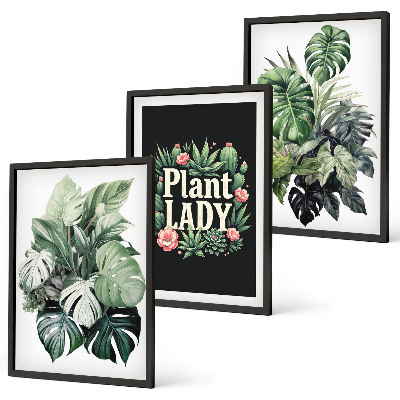 Wanddecoratie set schilderijen Rośliny tropikalne Plant Lady