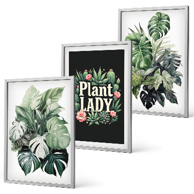 Wanddecoratie set schilderijen Rośliny tropikalne Plant Lady