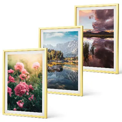 Wanddecoratie set schilderijen met afbeeldingen van bloemen, een tuin, bergen en water