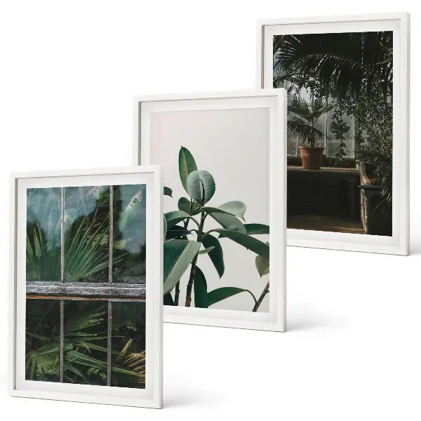 Wanddecoratieset schilderijen groene bladeren bij een raam met planten