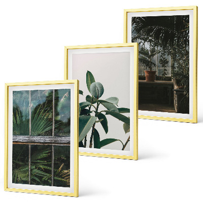 Wanddecoratie set schilderijen Zielone liście w oknie rośliny