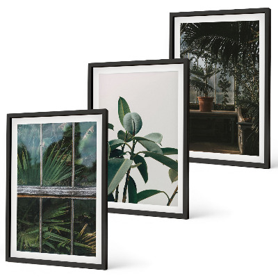 Wanddecoratie set schilderijen Zielone liście w oknie rośliny