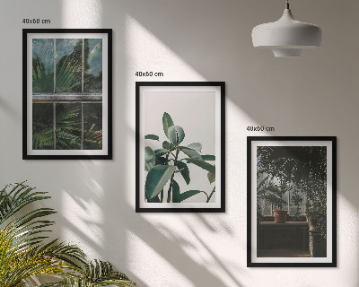 Wanddecoratie set schilderijen Zielone liście w oknie rośliny
