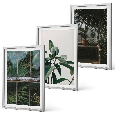 Wanddecoratie set schilderijen Zielone liście w oknie rośliny