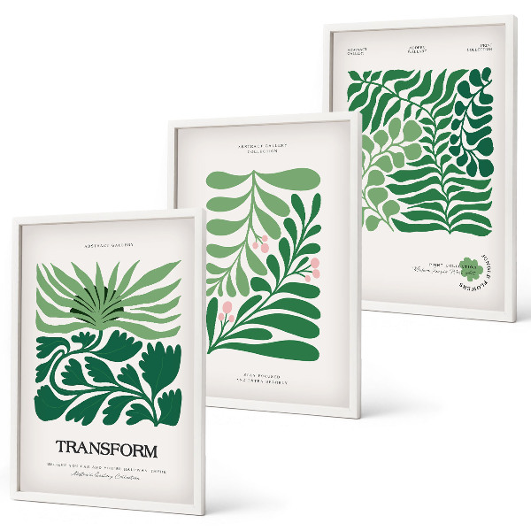 Wanddecoratie set schilderijen Zielone liście rośliny kształty