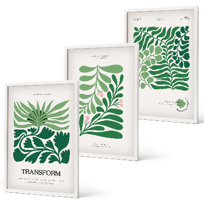 Wanddecoratie set schilderijen Zielone liście rośliny kształty