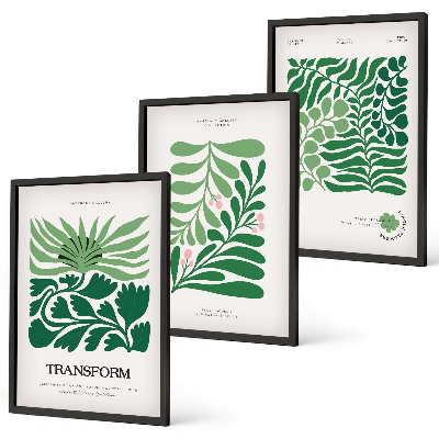 Wanddecoratie set schilderijen Zielone liście rośliny kształty
