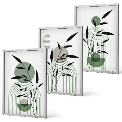Fotowand met botanische boho composities