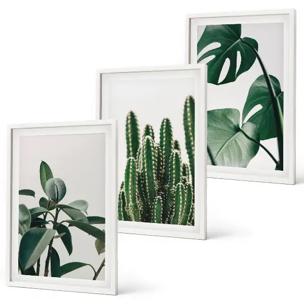Fotowand met esthetische tropische planten