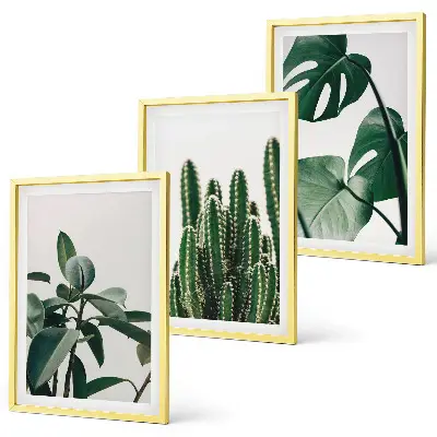 Fotowand met esthetische tropische planten