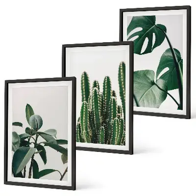 Fotowand met esthetische tropische planten
