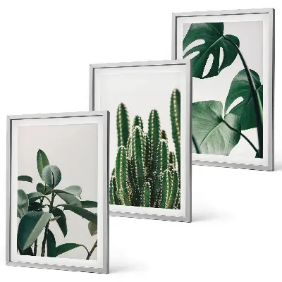 Fotowand met esthetische tropische planten