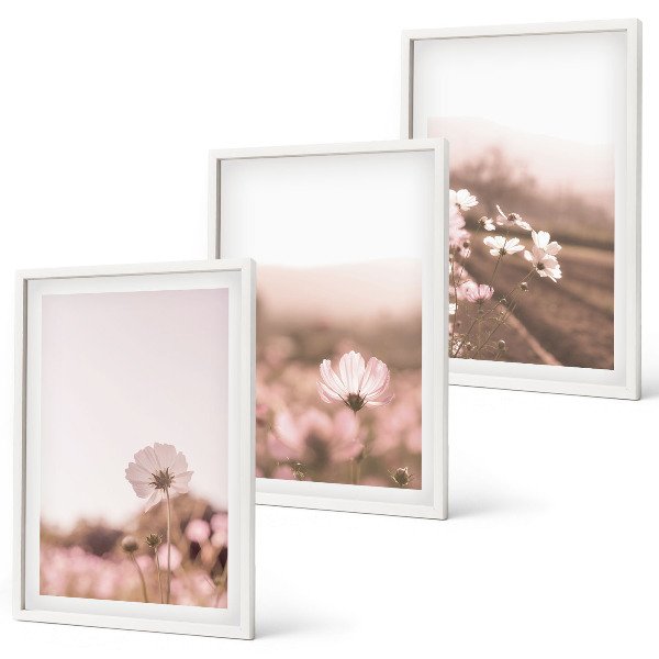 Wanddecoratie set schilderijen Polne kwiaty łąki lato pejzaże