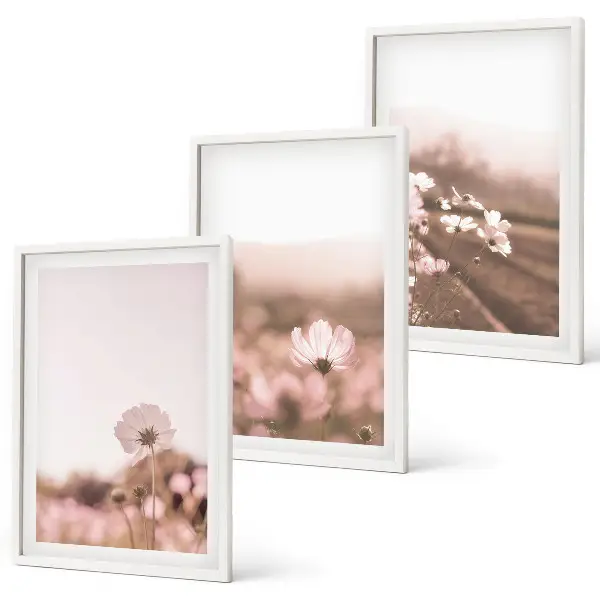 Set wanddecoratie met schilderijen veld met zomerse bloemen en landschappen