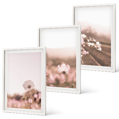Wanddecoratie set schilderijen Polne kwiaty łąki lato pejzaże