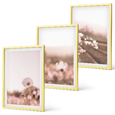 Wanddecoratie set schilderijen Polne kwiaty łąki lato pejzaże