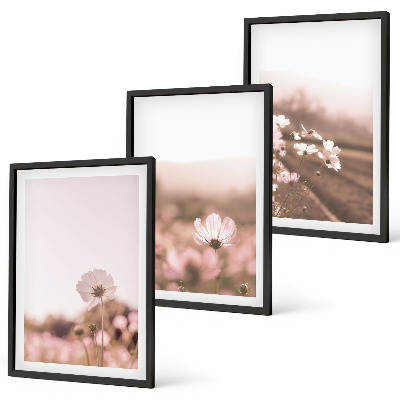 Wanddecoratie set schilderijen Polne kwiaty łąki lato pejzaże