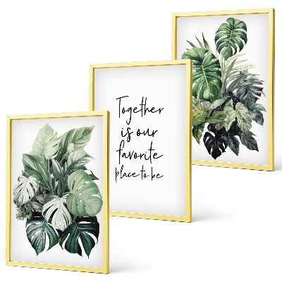 Wanddecoratie set schilderijen Zielone liście roślin tropikalnych
