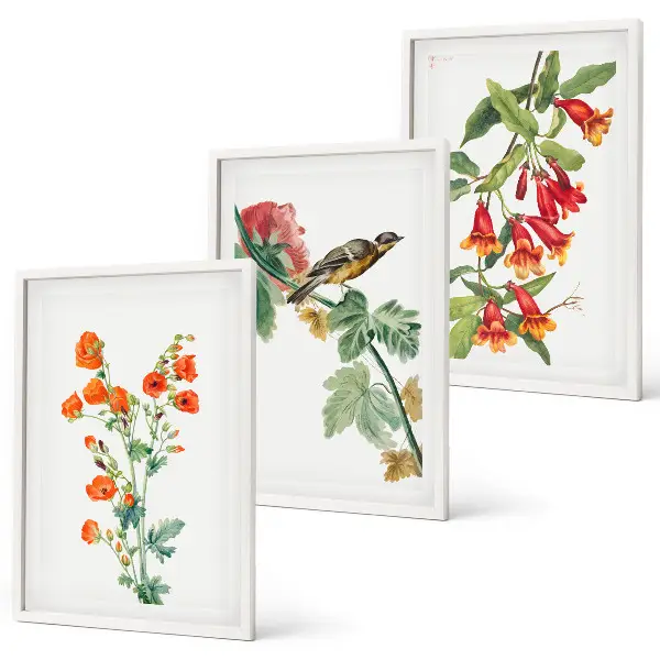 Fotowand geschilderde bloemen en vogel