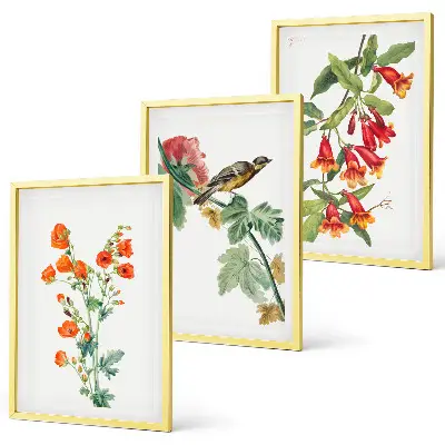 Fotowand geschilderde bloemen en vogel