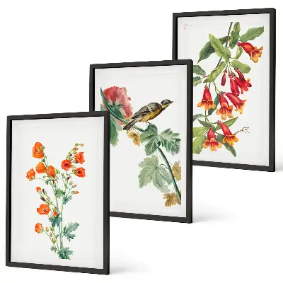 Fotowand geschilderde bloemen en vogel