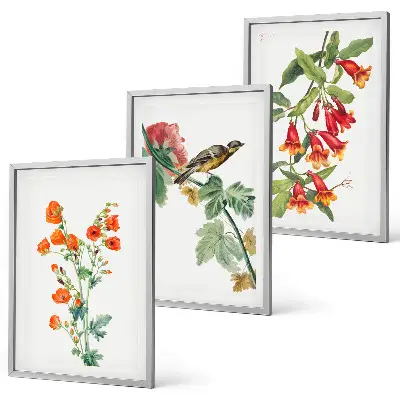 Fotowand geschilderde bloemen en vogel
