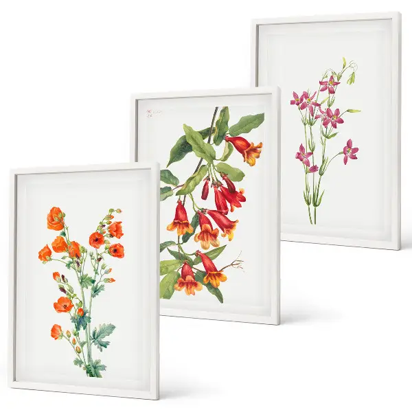 Wanddecoratieset met schilderijen met vintage bloemen in retrostijl