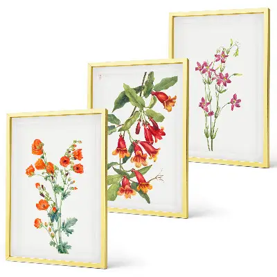 Wanddecoratieset met schilderijen met vintage bloemen in retrostijl