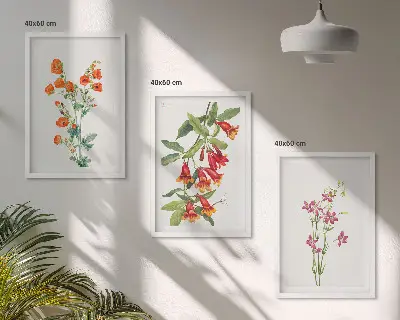 Wanddecoratieset met schilderijen met vintage bloemen in retrostijl