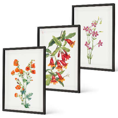Wanddecoratie set schilderijen Malunek kwiatów vintage retro