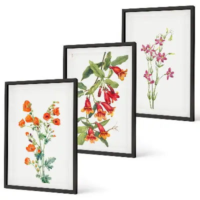 Wanddecoratieset met schilderijen met vintage bloemen in retrostijl