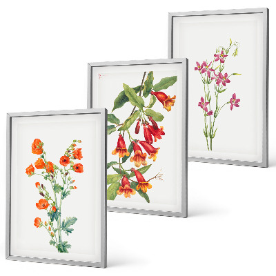 Wanddecoratie set schilderijen Malunek kwiatów vintage retro