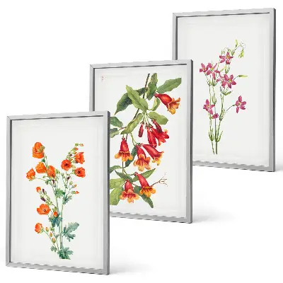 Wanddecoratieset met schilderijen met vintage bloemen in retrostijl