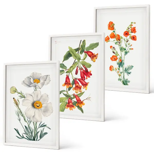 Fotowand met retro bloemmotieven