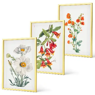Fotowand met retro bloemmotieven
