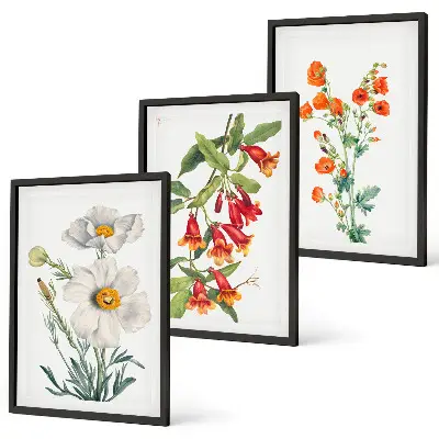 Fotowand met retro bloemmotieven