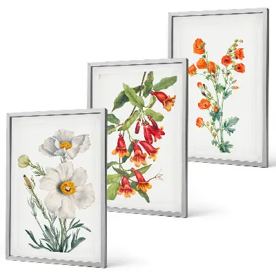 Fotowand met retro bloemmotieven