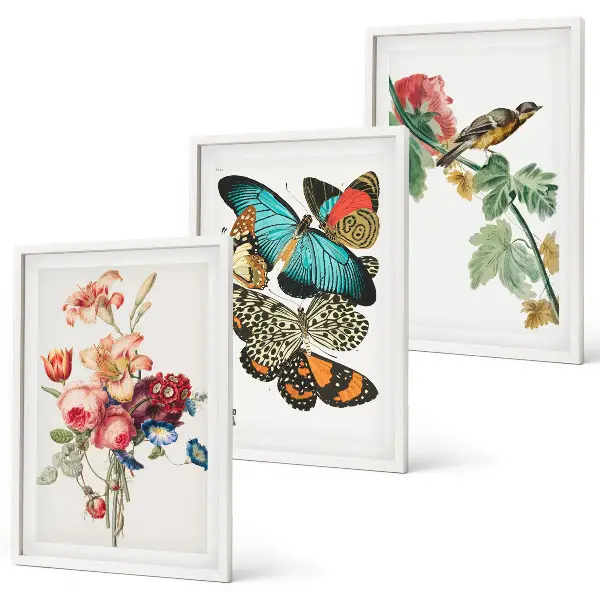 Wanddecoratieset schilderijen met bloemen, vlinders en vogels in pastelkleuren