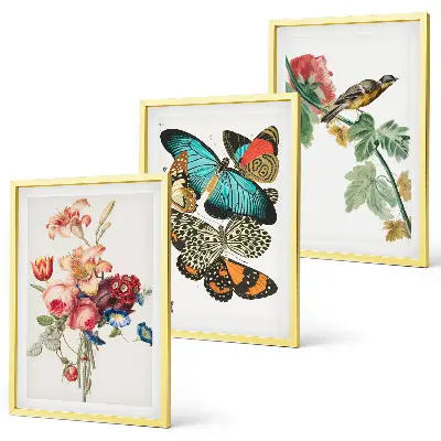 Wanddecoratieset schilderijen met bloemen, vlinders en vogels in pastelkleuren