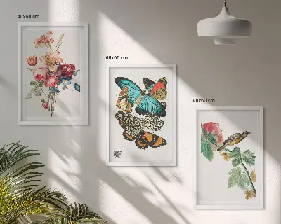 Wanddecoratieset schilderijen met bloemen, vlinders en vogels in pastelkleuren
