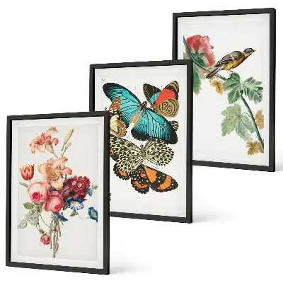 Wanddecoratieset schilderijen met bloemen, vlinders en vogels in pastelkleuren
