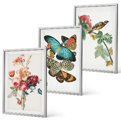 Wanddecoratieset schilderijen met bloemen, vlinders en vogels in pastelkleuren