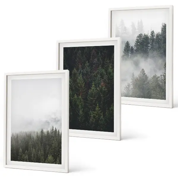 Wanddecoratieset met schilderijen groene bossen met mist in de natuur