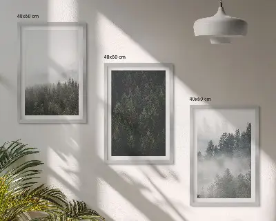 Wanddecoratieset met schilderijen groene bossen met mist in de natuur