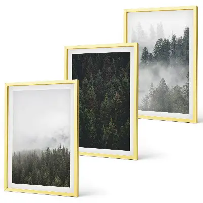 Wanddecoratieset met schilderijen groene bossen met mist in de natuur