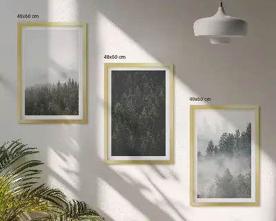 Wanddecoratieset met schilderijen groene bossen met mist in de natuur