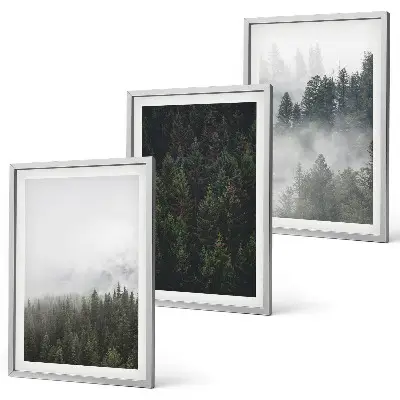 Wanddecoratieset met schilderijen groene bossen met mist in de natuur